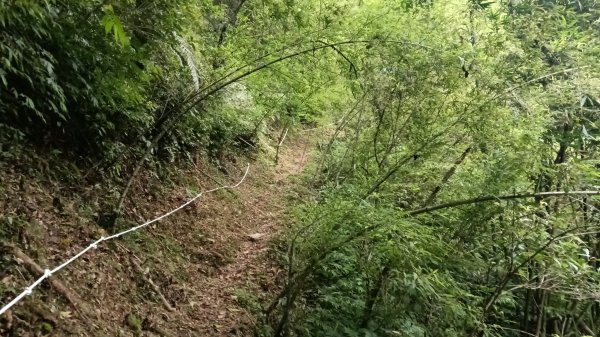 雙溪區烏山越嶺古道西段3073319