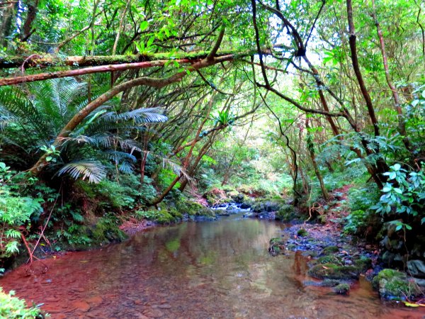 淡蘭古道輕旅行:坪溪古道出外澳546090