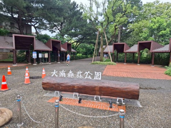 宵裡好風光相簿活動