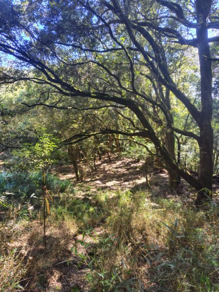 守關山南峰 守關山 守城大山2919169