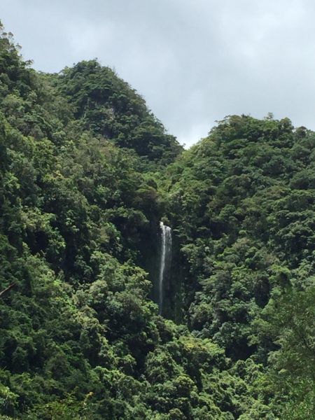 五峰旗瀑布步道161684