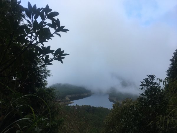 太平山台灣山毛櫸步道、魔幻森林、翠峰湖、望洋山2336528