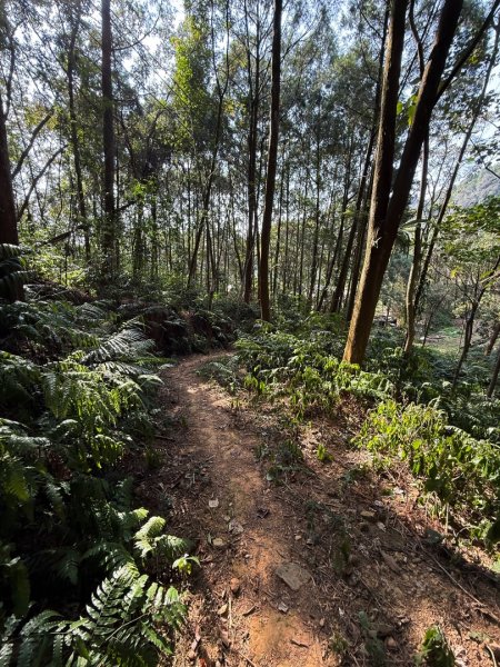 埔里能高瀑布-慶安步道-福興山1122峰（建議逆時針O繞）3004493