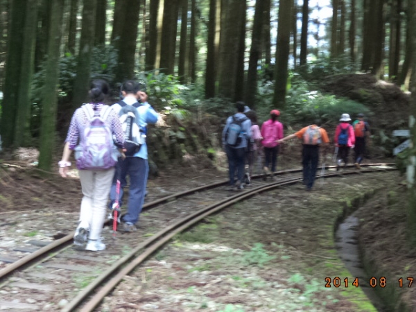 【最難忘的登山健行】『二萬坪森林饗宴知性之旅(2014.8.17)』