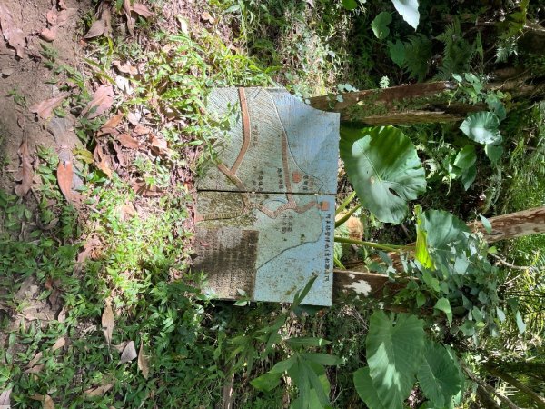 20251012_八里灣山（花蓮小百岳）2941299