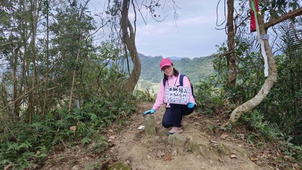 (姨婆趴趴走)第四十六集:新竹關西赤柯山及南峰、東西獅頭山、馬福山環狀縱走2685800