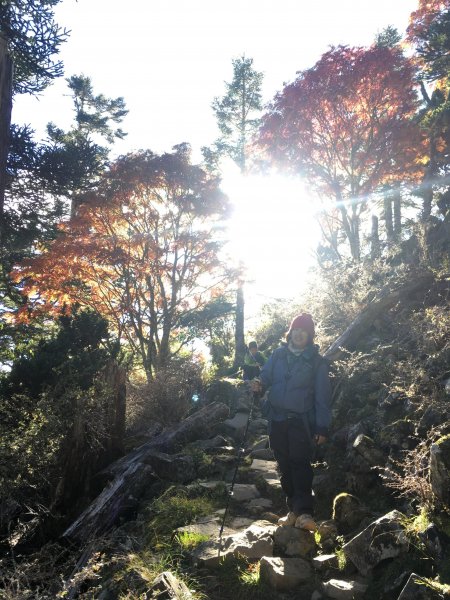 雪山 不下雪533097