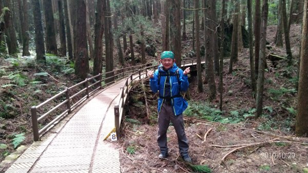 訪特富野古道順登梯子板山978971