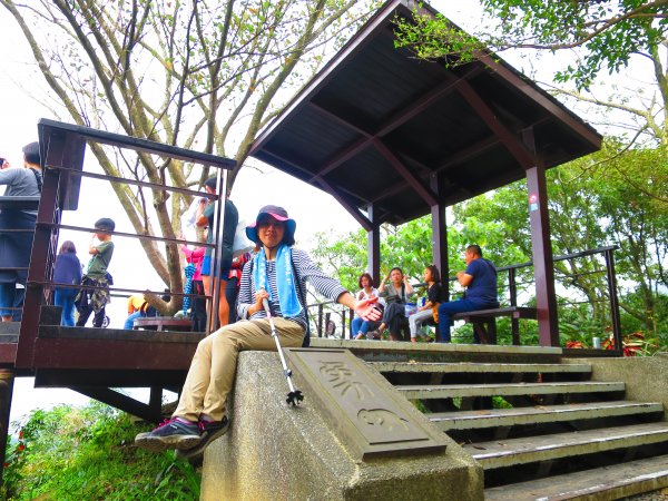 五星級豪宅登山步道:象山親山步道863462