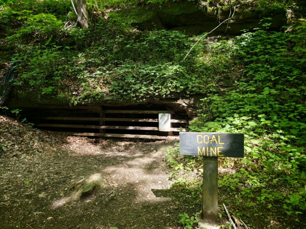 [美國行-04] 2026_0510 火雞跑步州立公園-糖溪3058943
