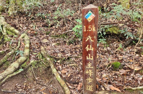 【中級山】谷關七雄八仙山2745083