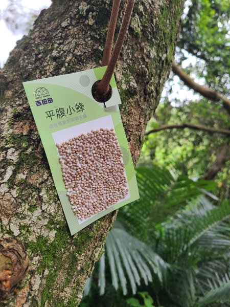 大坑10號提前修好啦(10號上+6號+7號下)2753655