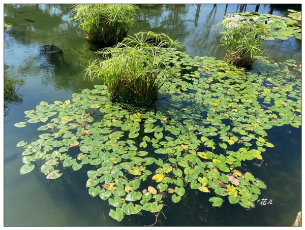 台中公園基石 (砲台山三角原點)2992167