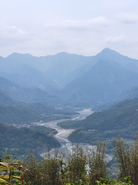 2026.03.30 茶園、梅園、視野都極美的玉打山觀景臺3073610