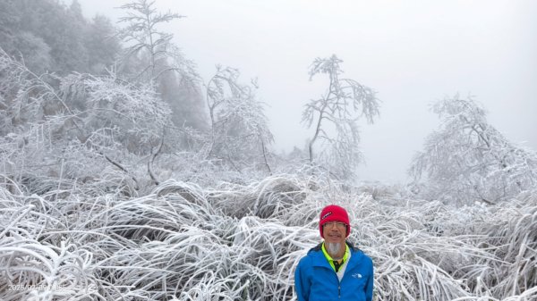 我的2025 第三場雪 #翠峰湖步道 #望洋山 #金翼白眉  2/92708857