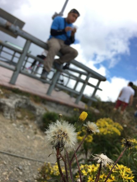 合歡山北, 西峰-2017/9/9~10826288
