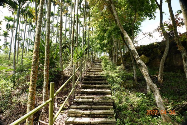 嘉義 番路 烏心石山1665777