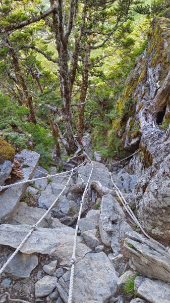 南橫F4之關山/庫哈諾辛山1748014