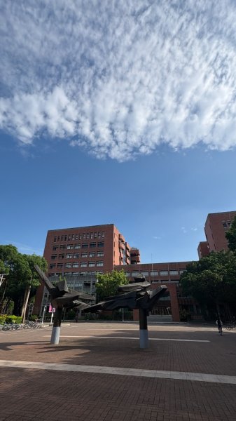 台南一日散策、尋找陽光與記憶的痕跡3055471