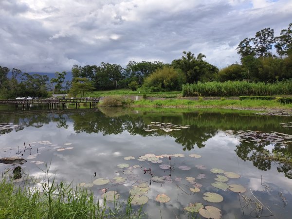 [漫遊縱谷 愛在花東-04/10] 2025_1011 羅山村竹林步道2913249
