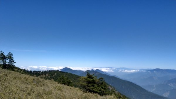 郡大山（坐車比爬山還累）1168489