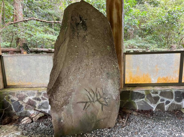 桃園 復興/新北 三峽 東滿步道2314899