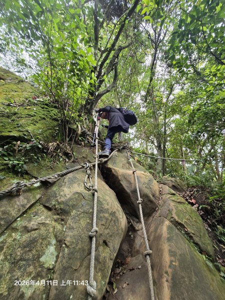 2026-04-11微笑山線：【二格山系】筆架連峰段3034597