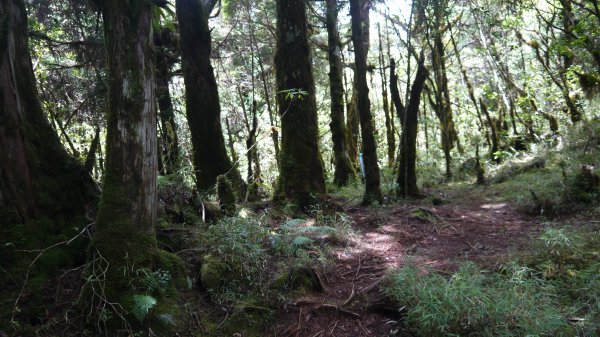 三星池登山健行趣1789864