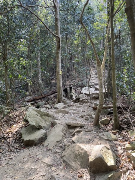 白毛山3059679