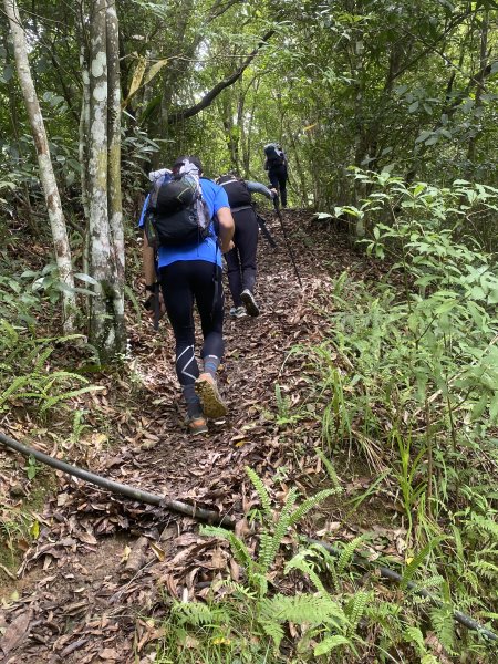 【淡蘭古道尋寶任務】淡蘭南路第四段｜𩻸魚堀溪自行車道至縣界公園2926432