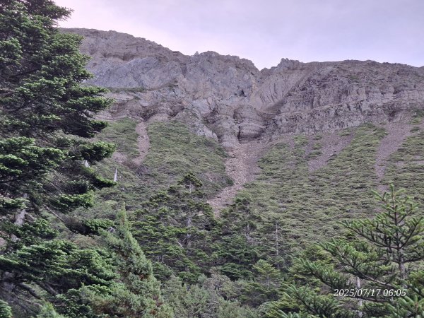 2025.07.17 夏季單登玉山主峰西峰2842670