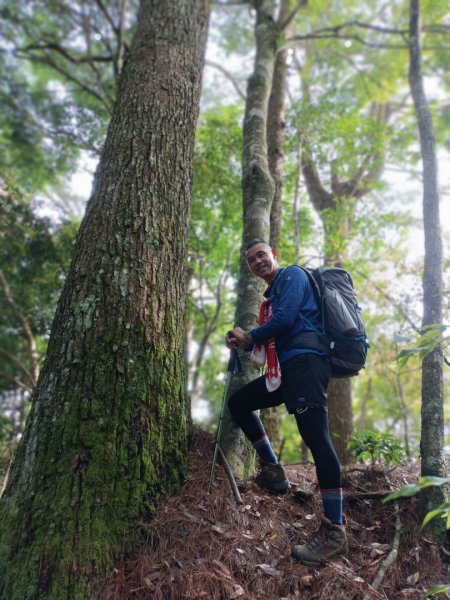 屯野生台山、石麻達山、錦屏山縱走1708383