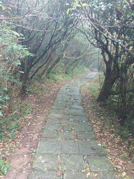 240125中正山、頂湖山群峰縱走2409577