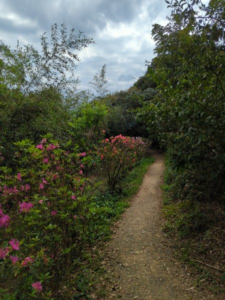 2022.03.20－臺北大縱走第六段1647616