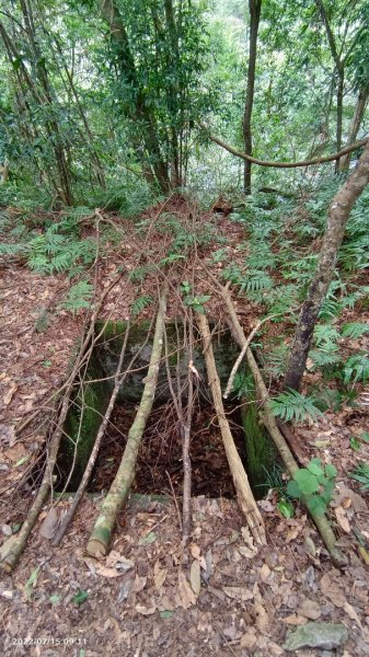 屋我尾山（麗陽）夏日汛期溪水限定版1765136