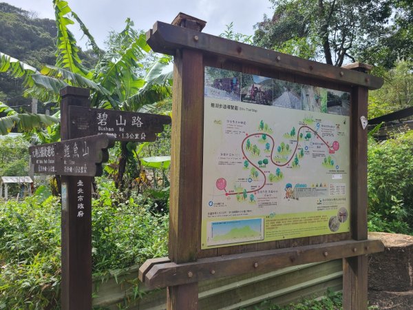 小百岳大崙頭山478m＆鯉魚山.鯉魚山東峰2060076