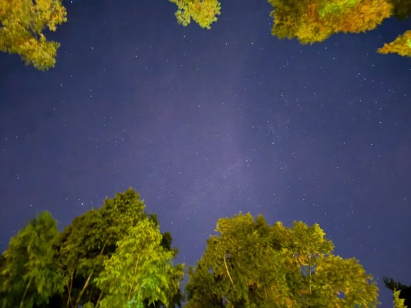 1141108-09桃山單攻2935950