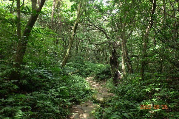 基隆 頂寮山、龍門山、五分山、頂子寮山2265973