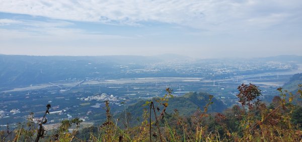 2024-01-28九九峰森林步道2412620