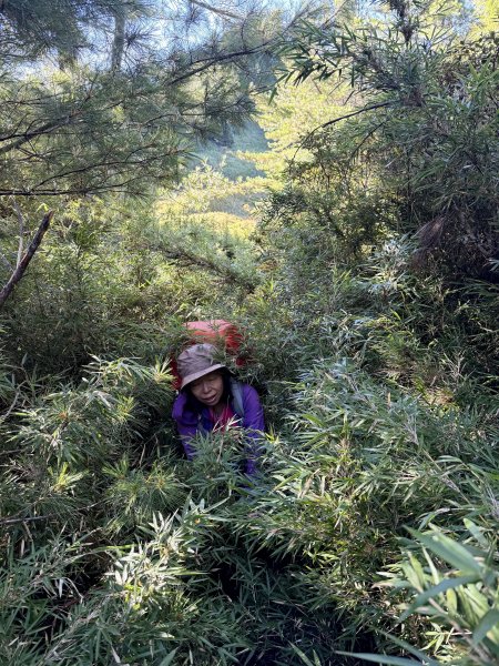 觀雲山莊經小完美谷上畢祿山O繞2917232