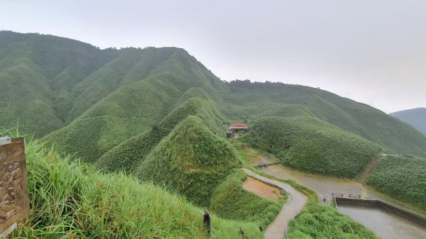 【中級山】宜蘭抹茶山（三角崙山），聖母登山步道，五峰旗瀑布2741068