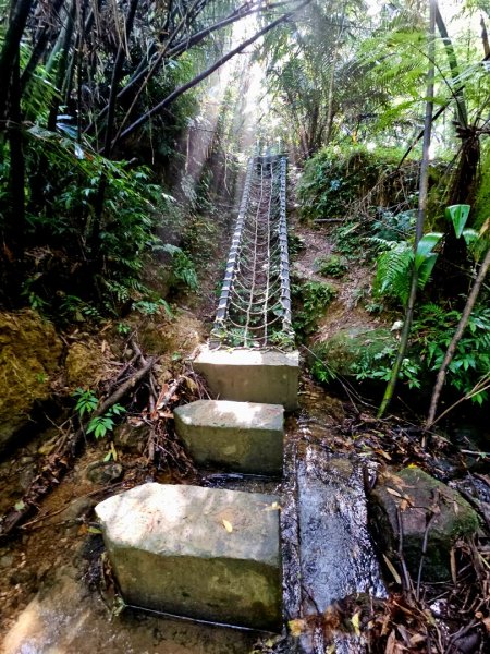 (五分山系)望古瀑布-2025微笑山線大縱走尋寶集章任務2855268