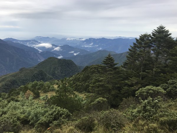 小關山林道走小關山(小關山西稜上，西南稜1178600