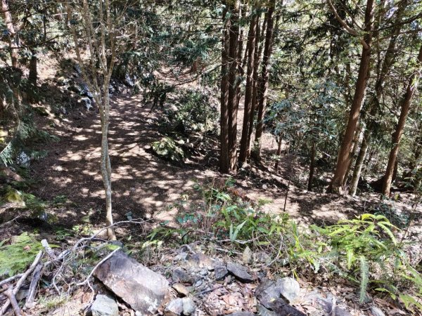 20260215台中南投裡冷尾敏山，又稱王辨山3000581