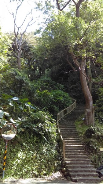 【臺北親山拓印趣】天母山天母古道白雲瀑布918672