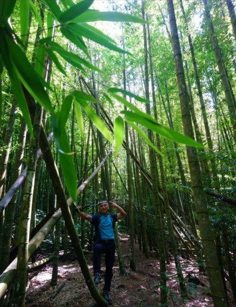 鳶嘴西稜O走（大崠山、長壽山、鳶嘴山）1073397
