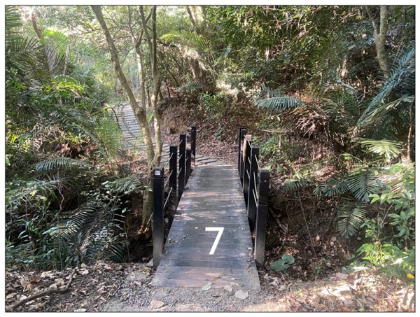 軍功寮山、大坑9、7、6、9-1步道 O型一圈2950813