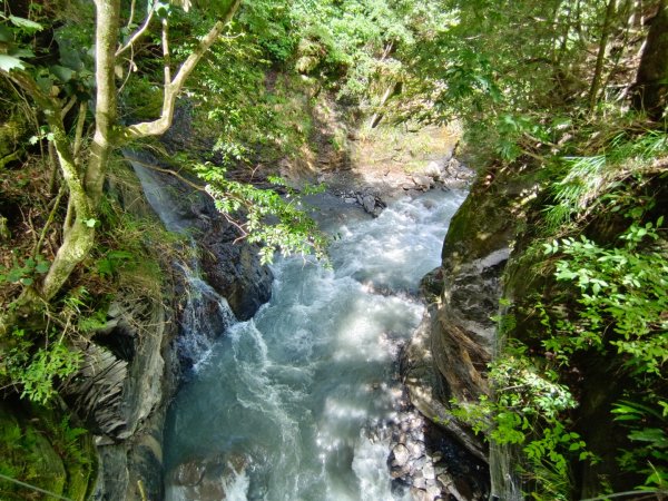 兩颱風之間空擋登屏風山巧遇保育類動物+出大景2237830