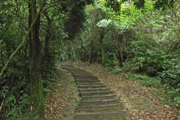 姜子寮山步道225169