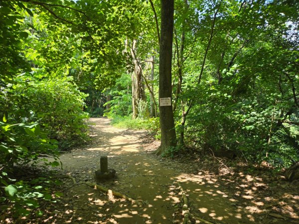 蘭潭後山步道、紅毛埤山（小百岳）2606383